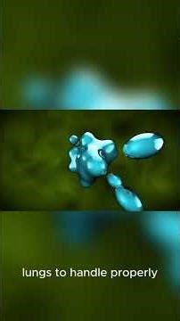 What If You Shrank to the Size of an Ant?