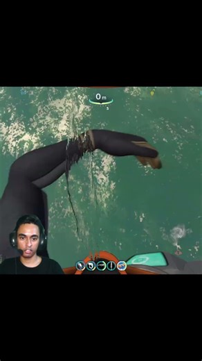 Average Subnautica Experience
