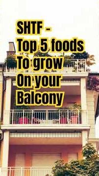 SHTF - The top 5 foods to grow on your balcony