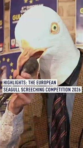 Highlights: The European Seagull Screeching Competition 2026