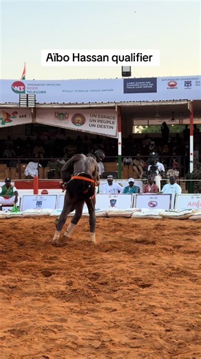 Aïbo Hassan qualifier @Agence IMAN