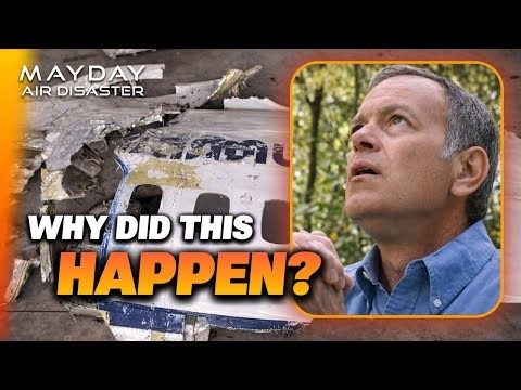 Two Planes One Controller The Uberlingen Tragedy | Mayday: Air Disaster
