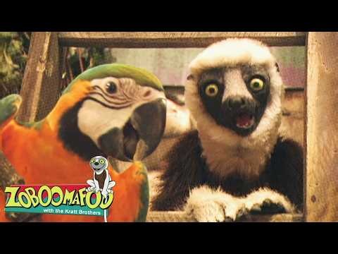 Amazing Wild Voices! Can This Bird Sing? | Zoboomafoo - WildBrain | Learn about Animals!