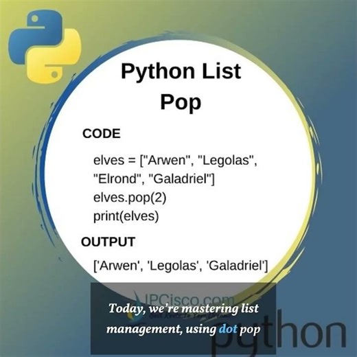 They said they'd "Bite" in a few months... We Build NOW. 🏗️ (Day 3 part 1 /365)