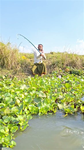 The elder brother caught a fish weighing 8 kg. #vrial #handfish #vistavision