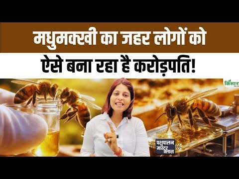 शहद से भी महंगा मधुमक्खी का जहर! Bee Venom की कीमत करोड़ों में क्यों?। Honey Bee। Organic Farming