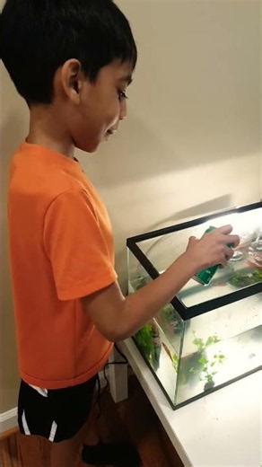 behind the screen