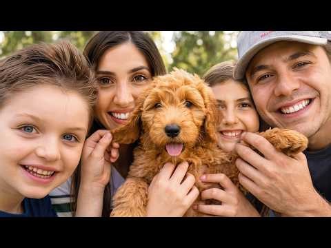 Should we Adopt This Puppy?