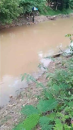 New Primitive Technology FISH TRAP with Fishing KR