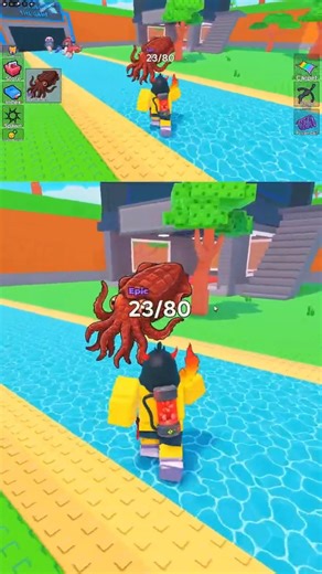 How to get Cuttlefish (Epic) Roblox Find the Fish