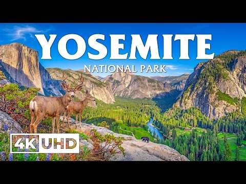 Yosemite 4K | Glory of the Thundering Falls – Rushing Rivers, Misty Trails & Alpine Meadows