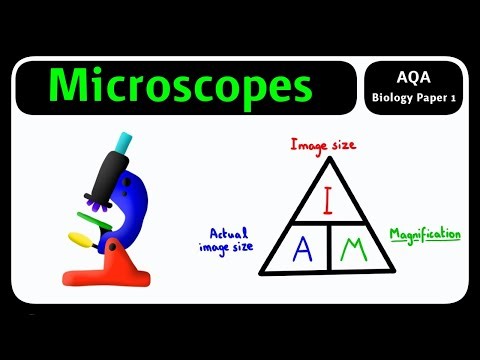 GCSE Biology AQA - Microscopes