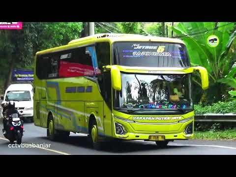 Incredible Basuri Horn Bus Compilation 😱 Beautiful Indonesian Bus Sounds!
