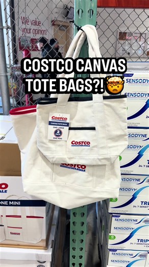 Costco Canvas Tote Bags 2-Pack: Mini Large Review ($8.99)