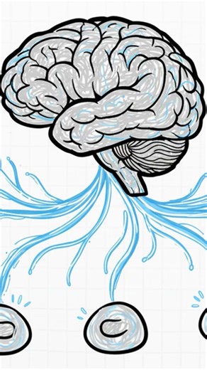 Your nervous system burns fat #obesity #healthyfood #freeprogram