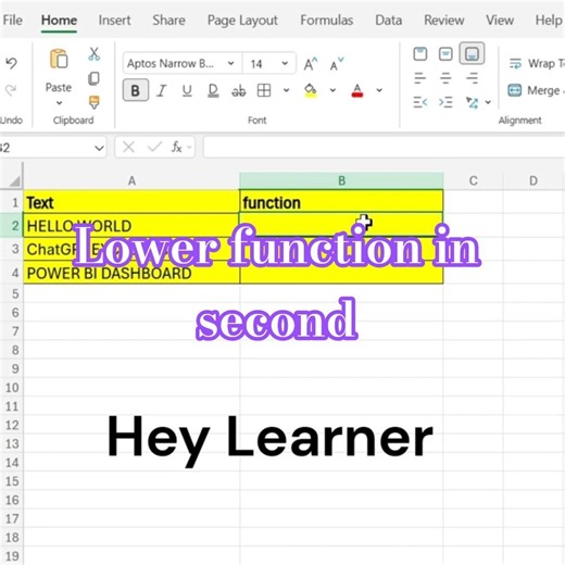 Learn how to use the Excel LOWER()