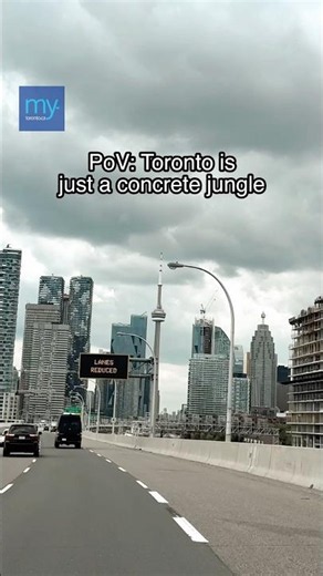 PoV: Toronto is Just a Concrete Jungle. Locals Be Like…