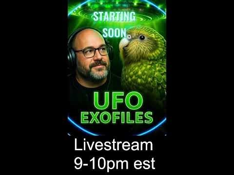 UFOs in the Last 24 Hours: Real Sightings or Just Sky Noise?" (Portrait)