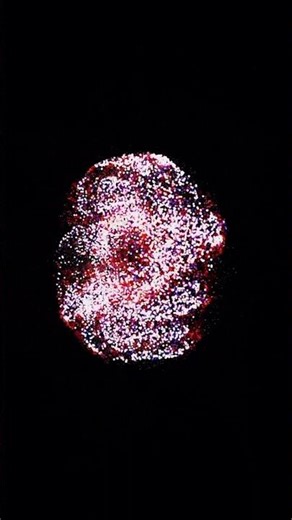 Hypnotic Particle Animation From Real Fishing GPS Data