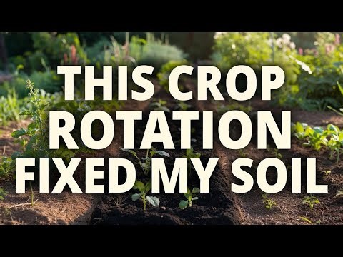 Ancient Crop Rotation in 15 Minutes — And My Soil Has Never Looked Better