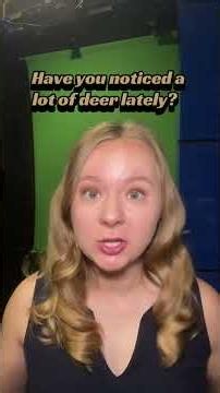 Have you noticed a lot of deer lately?