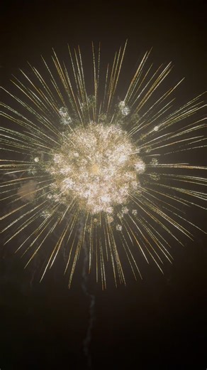 8" inch Brocade Crown to Crackling w/Crackling Pistil Rise/Tail #pyro #fireworks #displayshells