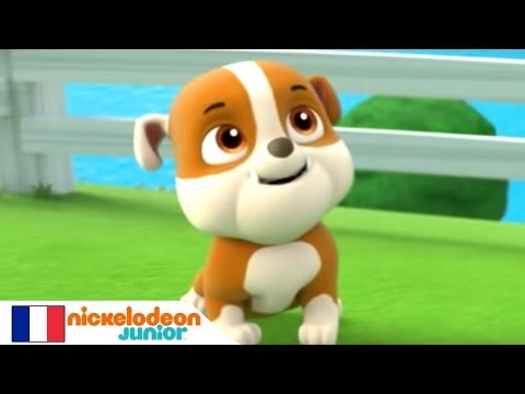 Flying High with Skye & Racing Snowy Trails with Everest | A Fun PAW Patrol Friendship Story 🌈