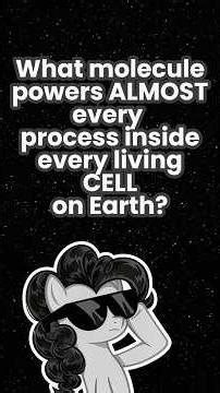 What is ATP? #atp #science #biology #education