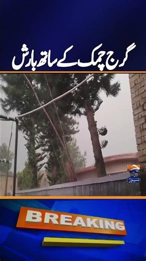 Punjab Rain Prediction & Cold Weather Latest Update | Breaking News