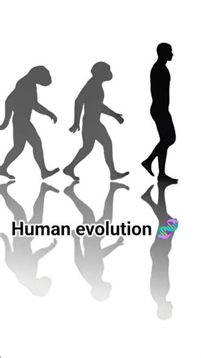Evolution 🧬 of Human ✨ #biology #cbse12thbiology #neetcoachings #neet #neetaspirents #class #board