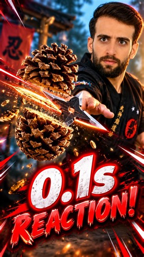 Pinecone vs Shuriken: 0.2s Mid-Air Target Strike! 🎯⚡