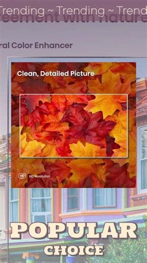 Hisense 32 Inch Class A4 Series HD 720p Smart Roku TV With Alexa