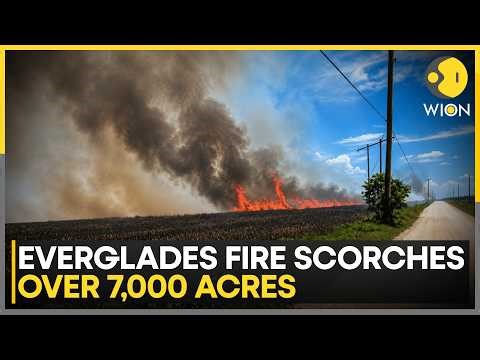 Everglades Wildfire Engulfs 7,000 Acres As Firefighters Battle Massive Blaze | WION