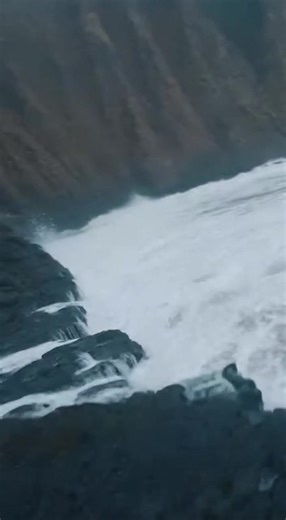 FPV Drone Racing with Wolves on Rocky Coast | FPV Drone