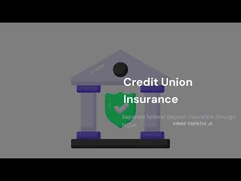Best High-Yield Savings Accounts in the USA (Earn More Interest!)