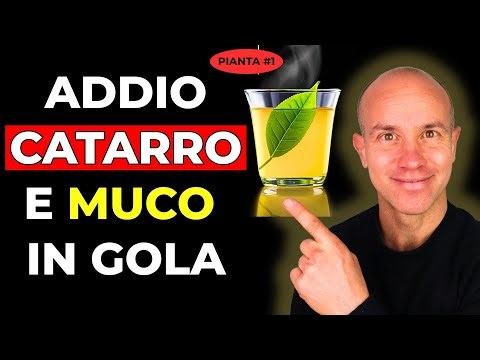 ADDIO CATARRO e MUCO IN GOLA: Le 10 Piante che li Eliminano SUBITO