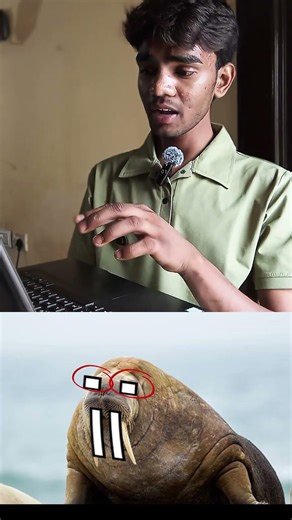 DAY: 1 | Stop Doing Majdoori in Python! 🤡 (Walrus Operator :=) #python #coding