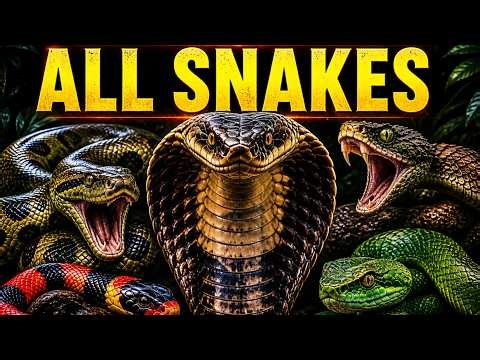 100 Types of Snakes in 15 Minutes 🐍 4K Nature