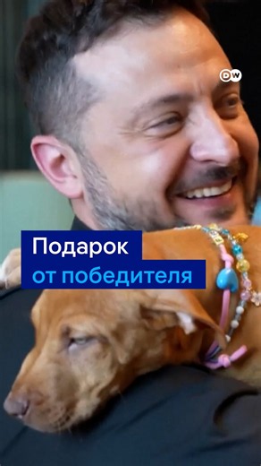 Зеленскому подарили щенка