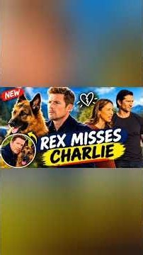Rex Is Heartbroken! Watch the New Hudson & Rex Teaser Everyone Is Talking About