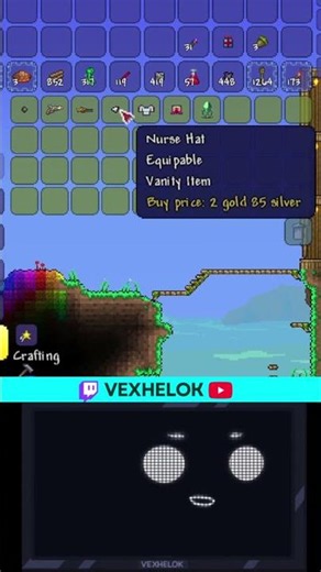 Terraria - How did you get those!?