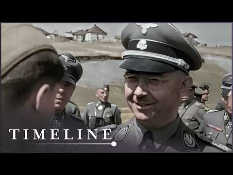 French Resistance vs Waffen-SS: The Battle For The South