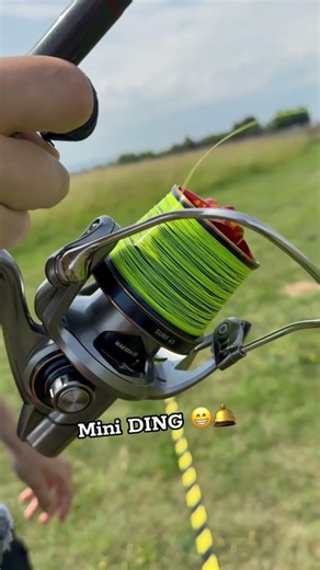 Mini DING 😁🛎️ #carpfishing #casting #surfcasting 17 5 26 DDAWNG FISHING