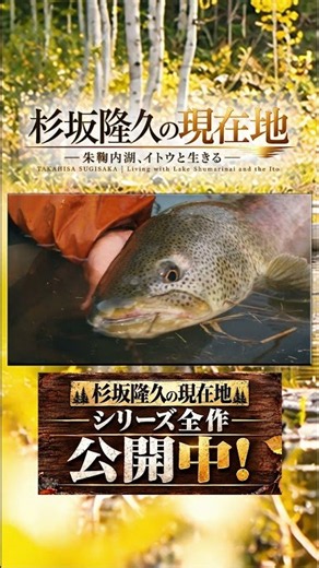 この魚と、これからも。杉坂隆久とイトウ｜杉坂隆久の現在地 #イトウ #フライフィッシング #杉坂隆久