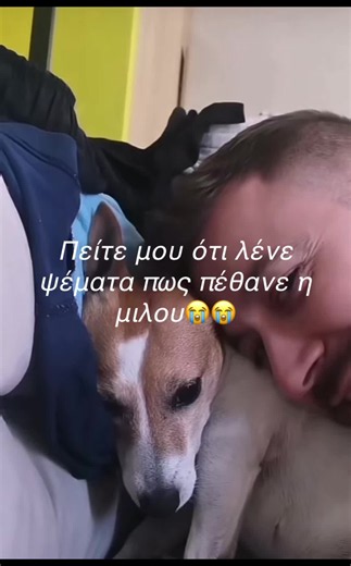 @greg.corpidis #miloukaki😭😭😭🥲🥹🥹