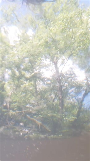 sometimes ya js gotta get off the bike for a Lil bit and mess around #deepcreek #clarksriver #river