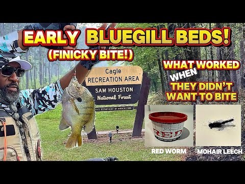 Raging Forest Fire While Catching BlueGill on Beds in April in TX !!