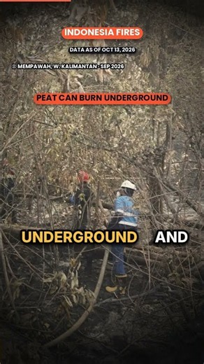 Why Southeast Asia Is Choking on Smoke Right Now #shorts