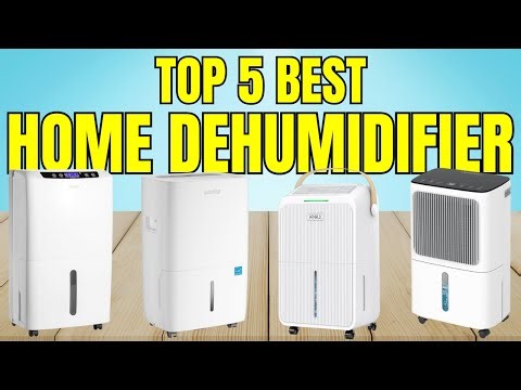 Best Dehumidifier For Home – Ultimate Buyer’s Guide!