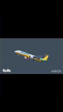 Cebu Pacific flight5J11 overrun animation#flipaclip#animation@onueonue#onue#goldentanic#airbus